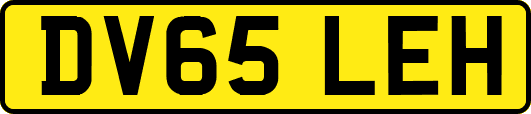 DV65LEH