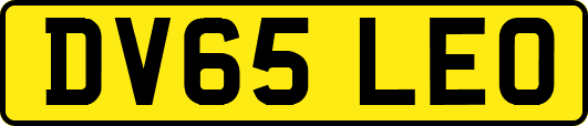 DV65LEO