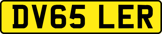 DV65LER