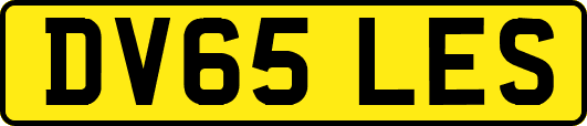 DV65LES