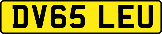 DV65LEU