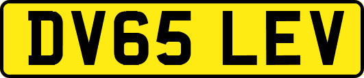 DV65LEV