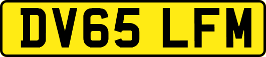 DV65LFM