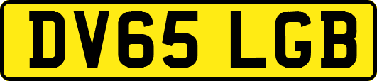 DV65LGB