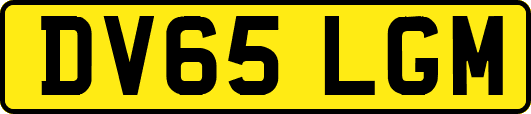 DV65LGM