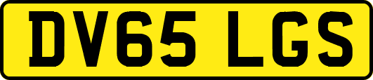 DV65LGS