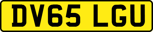 DV65LGU