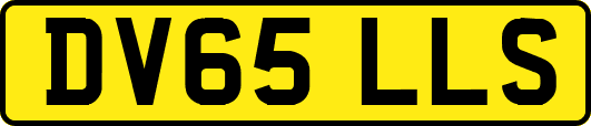 DV65LLS