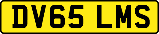 DV65LMS