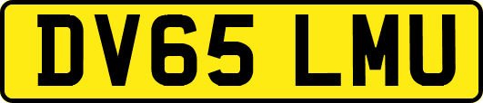 DV65LMU