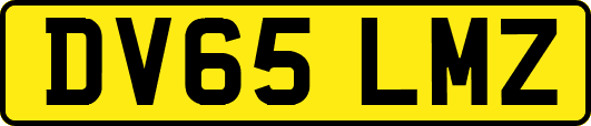 DV65LMZ