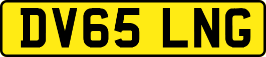 DV65LNG