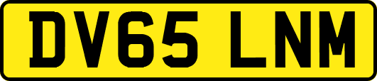 DV65LNM