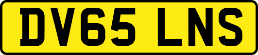DV65LNS
