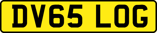 DV65LOG