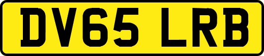 DV65LRB