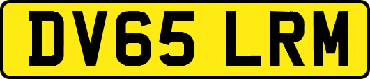 DV65LRM
