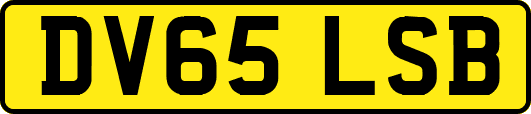 DV65LSB