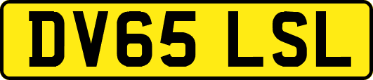 DV65LSL
