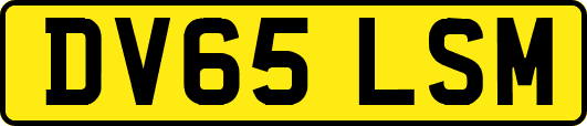 DV65LSM
