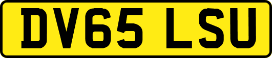 DV65LSU