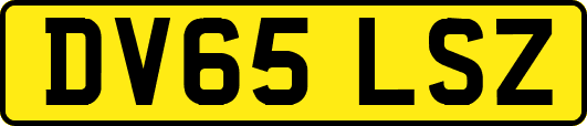 DV65LSZ