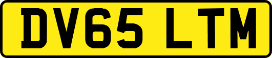DV65LTM