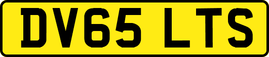 DV65LTS