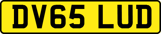 DV65LUD