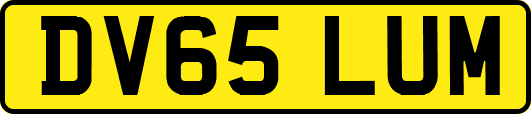 DV65LUM