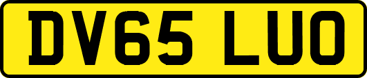 DV65LUO