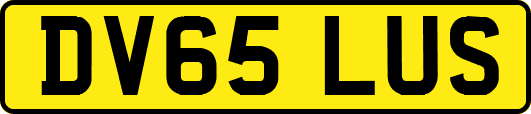 DV65LUS