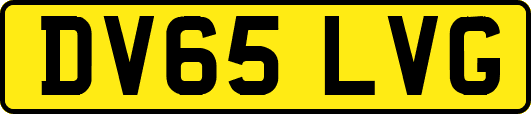 DV65LVG