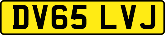 DV65LVJ