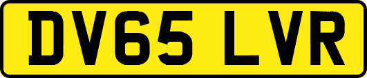 DV65LVR