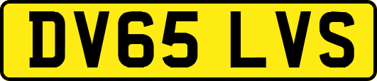 DV65LVS
