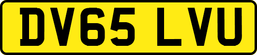 DV65LVU