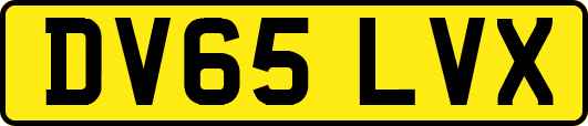 DV65LVX