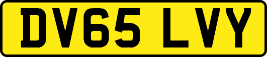 DV65LVY