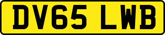 DV65LWB