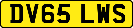 DV65LWS