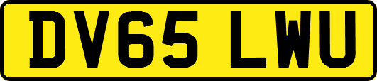 DV65LWU