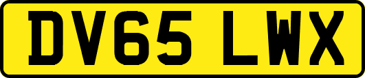 DV65LWX