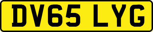 DV65LYG