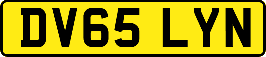 DV65LYN