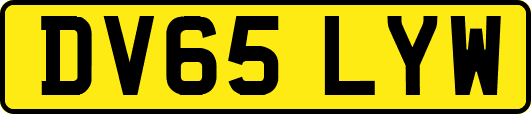 DV65LYW