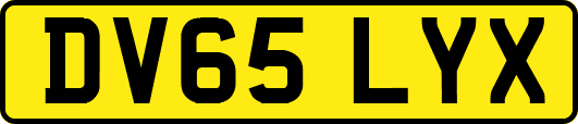 DV65LYX
