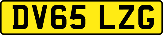 DV65LZG