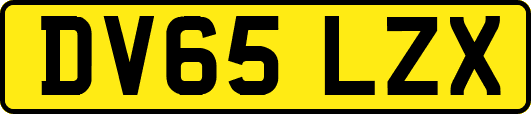 DV65LZX
