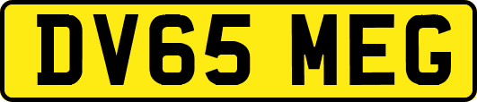 DV65MEG